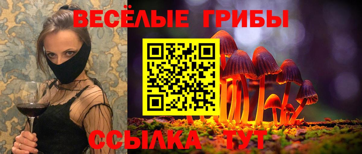 Галлюциногенные грибы мухоморы  Галлюциногенные грибы Cubensis  Вход с VPN  цены наркотик  Мегион 