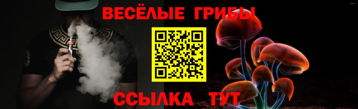 Галлюциногенные грибы Psilocybine cubensis Мегион